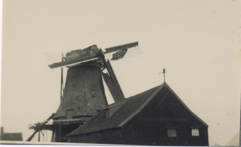 Foto 1999494921